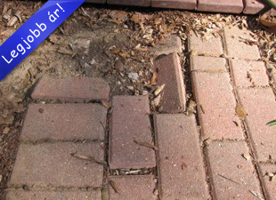 Vinaora Nivo Slider 3.x